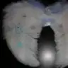 airinu