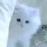 kucukkurabiye