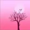 pembevepink