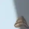 filesta