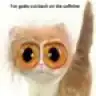 berjer