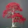 paragraf