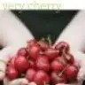 kirazmevsimi