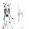 burzuk