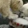 knmhtp