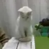 ths
