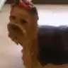 EAMYLEE
