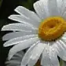 gxuxçlxux