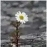 meltemmmmmmm