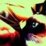 darkdawn