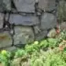 kubrayigit
