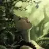 rena_27