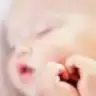 whitebal
