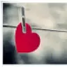 LILYUM78