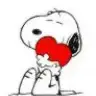 hazal222