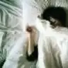 MissPlover
