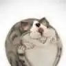 _awez_
