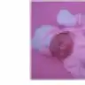 tupi_
