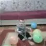 hazelimm