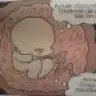 fte