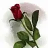 elida