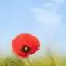 aysima_