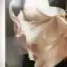 nhntgc
