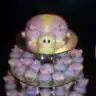 snmztkn