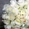 tuana80