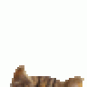kalemtraxsx