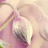tugcedidem