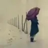 aycil