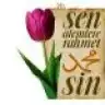ebrar_5