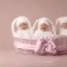 meleksh
