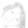 8913331