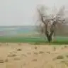 Aysl_gs