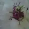 mercancmc