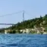 lifeandi