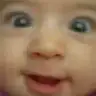 mvsbck