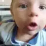 sebaos