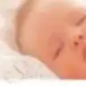 cizmelikedicik