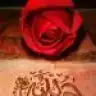 Anne2