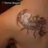 mevsimo