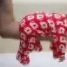 pampam34
