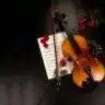 sendemikayboldun