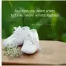 deepp