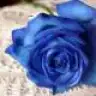 duru_38