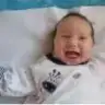 sinossinos