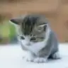 UmmuUmar