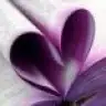 alyaa88